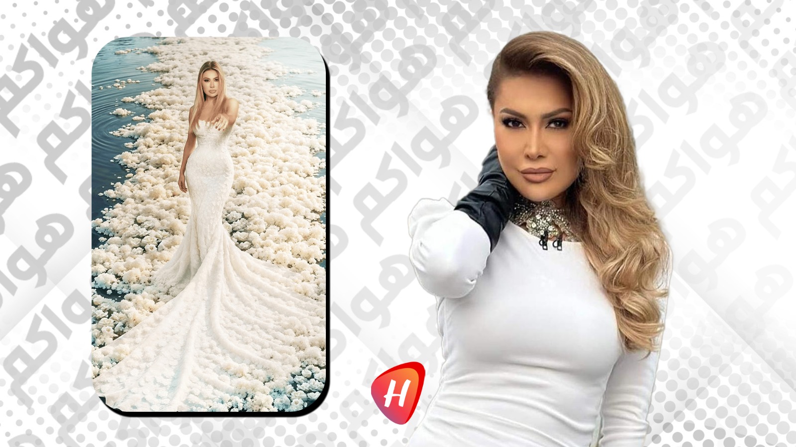 نوال الزغبي تؤجّل إصدار أغنيتها الجديدة 