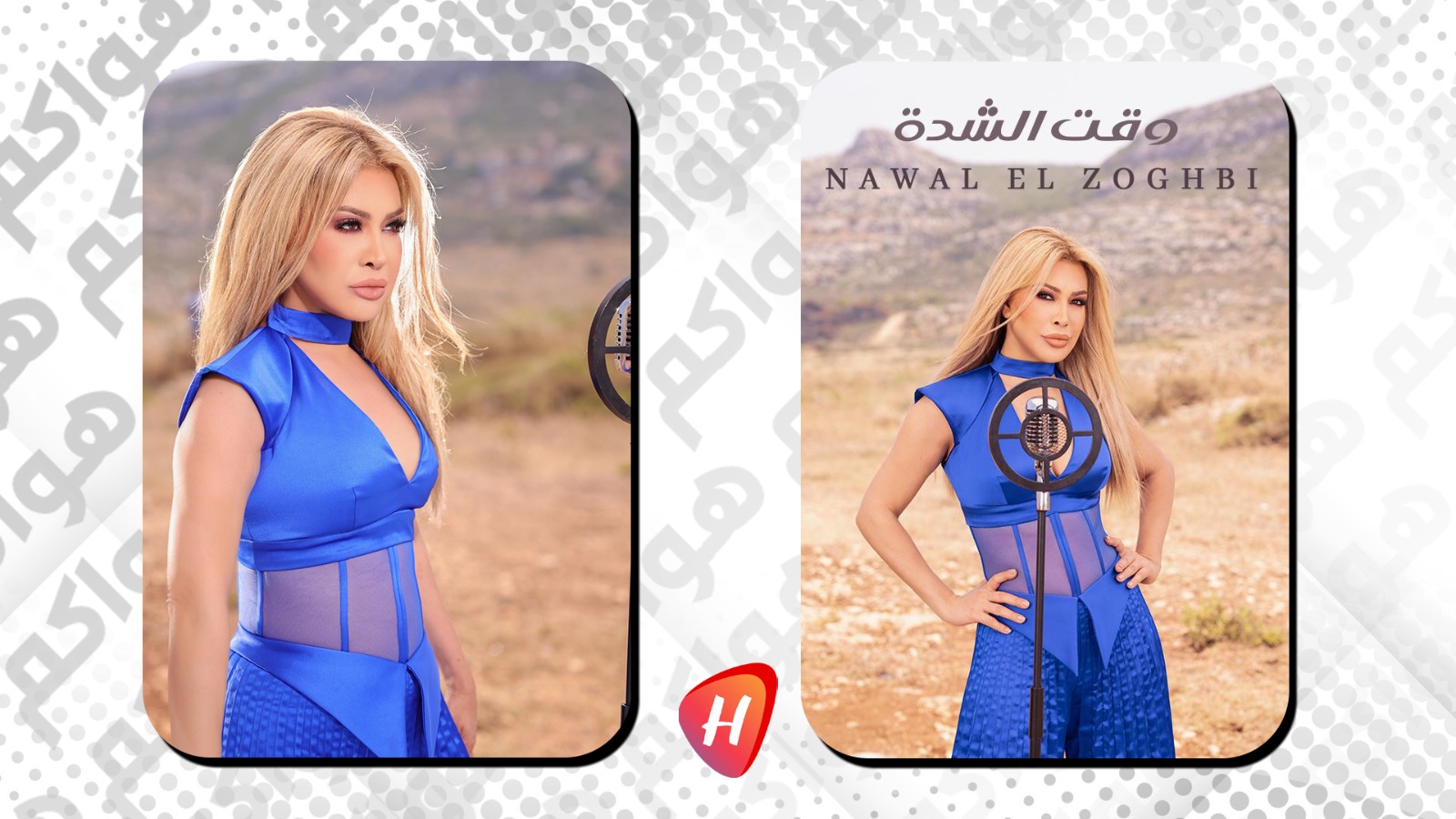 نوال الزغبي تتخطى حاجز العشر ملايين مشاهدة بألبوم 