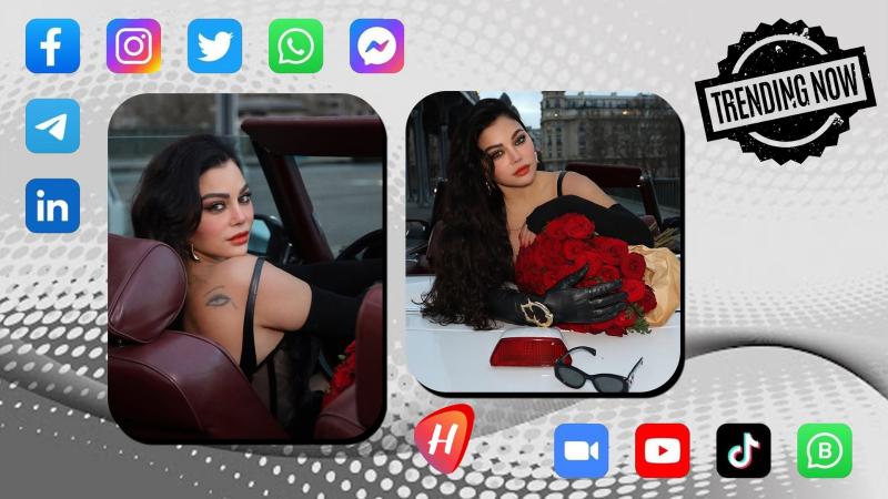 هيفاء وهبي.. حين يتحول الغضب إلى هدية مجانية