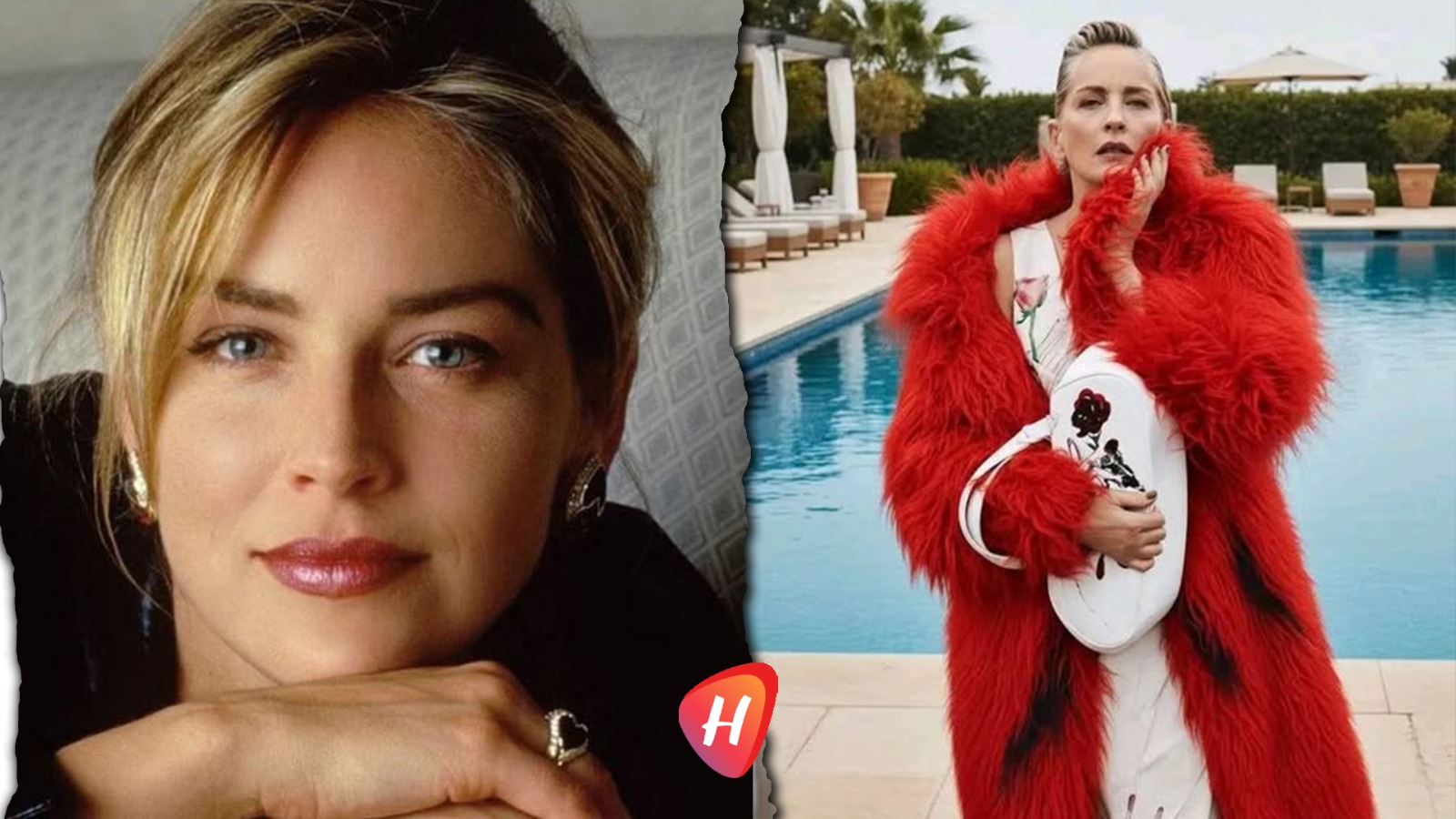 شارون ستون :الأيقونة التي وصلت المجد وخسرت احترام نفسها