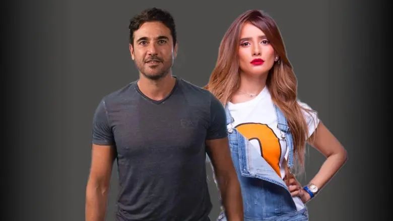 قرار قضائي جديد بشأن دعوى زينة ضد أحمد عز