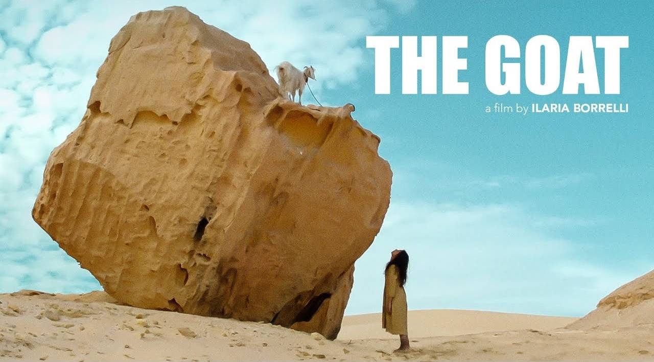 عمرو سعد وصنّاع فيلم The Goat يتبرّعون بإيرادته لأهالي غزة