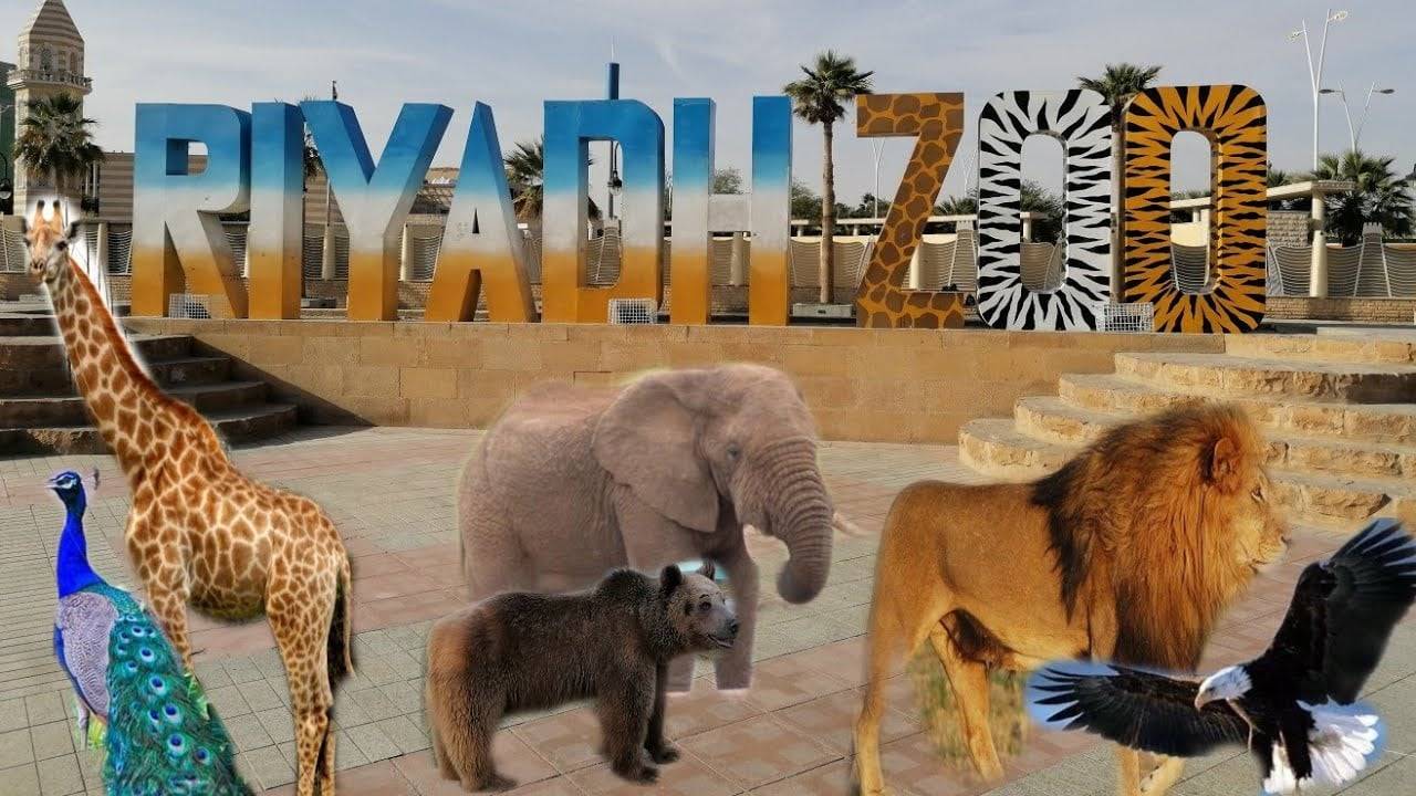 “الرياض زوو” تعود الى موسم الرياض..ماذا في التفاصيل؟